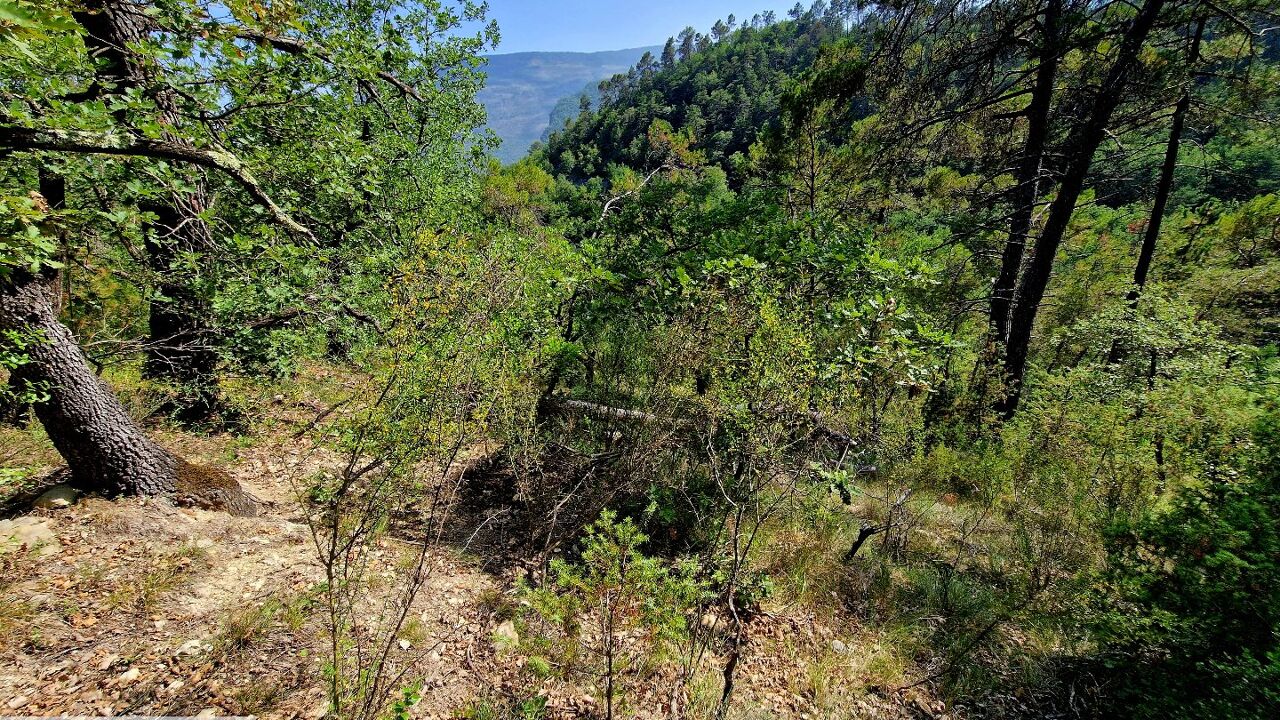 terrain  pièces 1763 m2 à vendre à Toudon (06830)