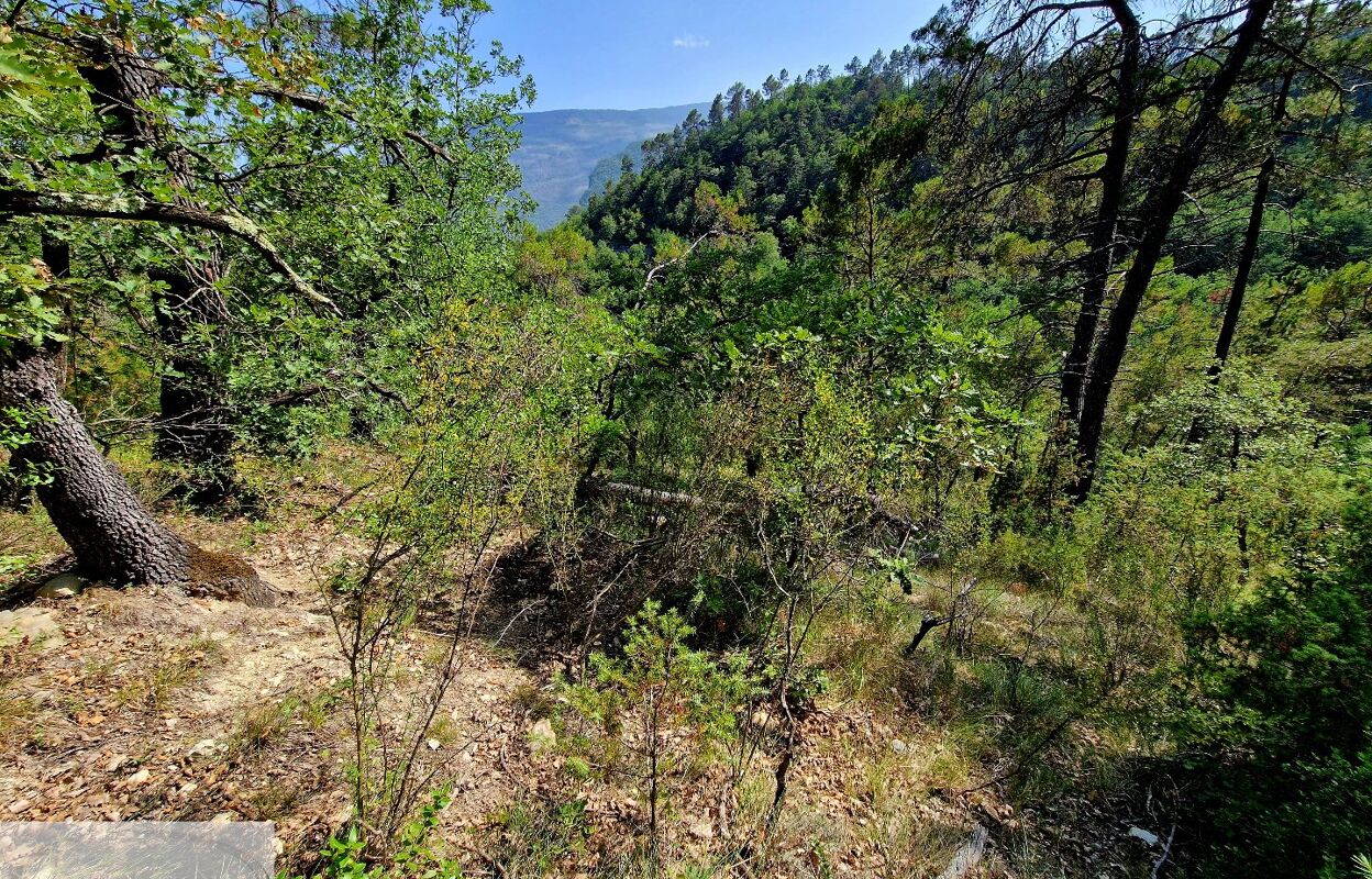 terrain  pièces 1763 m2 à vendre à Toudon (06830)