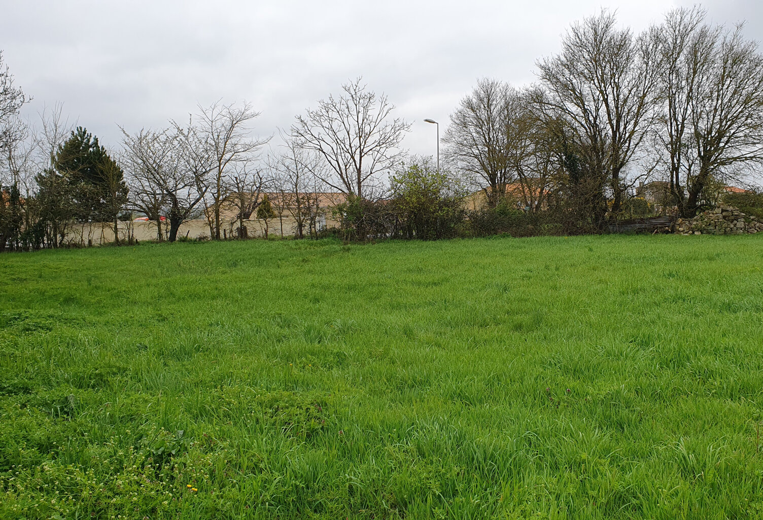 Vente terrain   Saint-Saturnin-du-Bois (17700) — photo 1