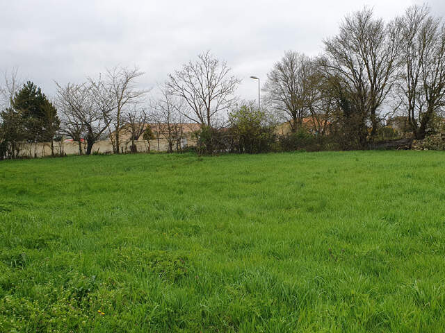 Terrain à Saint-Saturnin-du-Bois — photo du bien