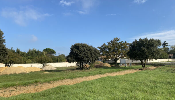 Terrain  à vendre Orange 84100