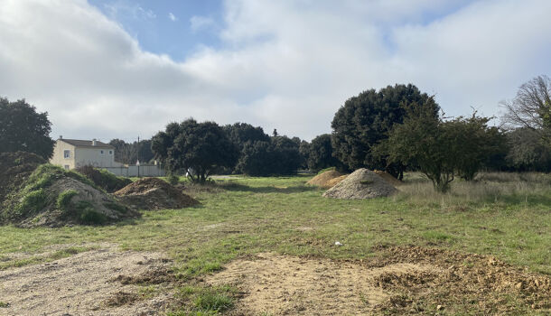 Terrain  à vendre Orange 84100