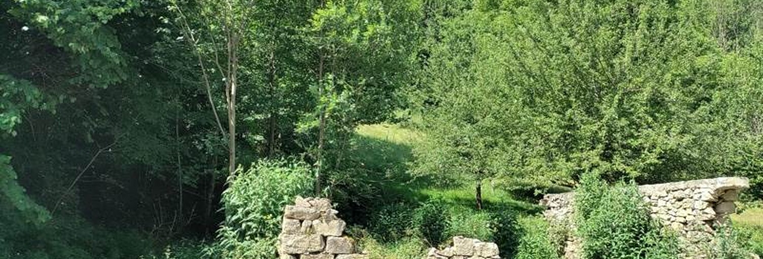 Terrain  970 m² à vendre à Ustou (09140)