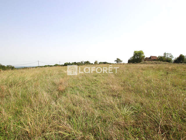 Terrain à bâtir Proche Arthez de Béarn 2110m² — photo du bien