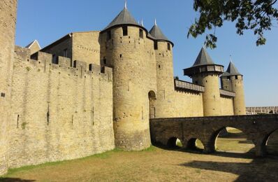vente immeuble 442 000 € à proximité de Carcassonne (11000)
