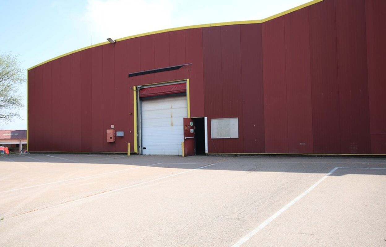 local industriel  pièces 4200 m2 à vendre à La Clayette (71800)