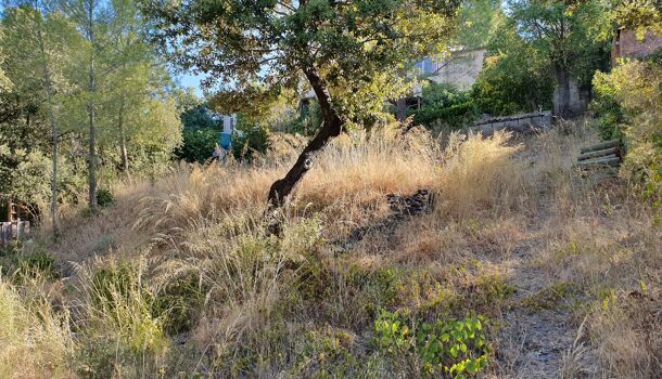 Terrain  à vendre Pierrefeu-du-Var 83390