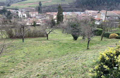 terrain  pièces 965 m2 à vendre à Bourg-Argental (42220)