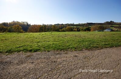 vente terrain 28 466 € à proximité de Baerenthal (57230)