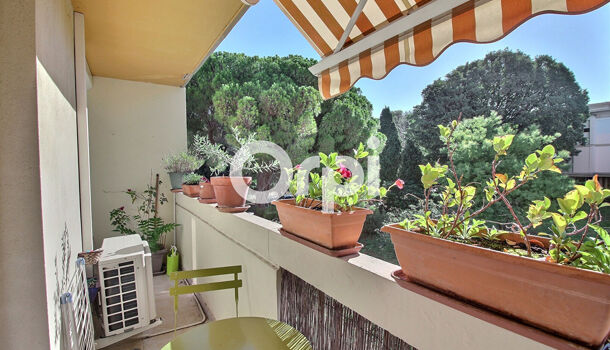 Appartement 3 pièces  à vendre Marseille 8eme 13008