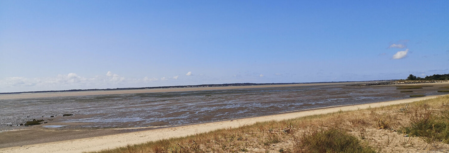 Maison 6 Pièces 71 m² à vendre à Marennes-Hiers-Brouage (17320)