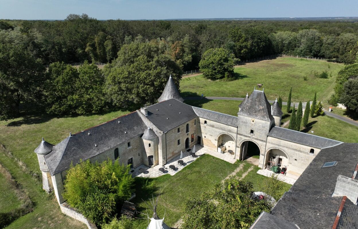 maison 7 pièces 273 m2 à vendre à Chinon (37500)