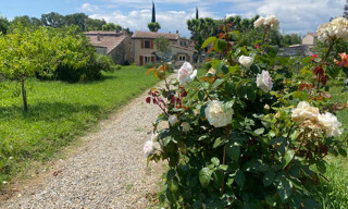 Maison 4 Pièces 76 m² à vendre à Saulce-sur-Rhône (26270)