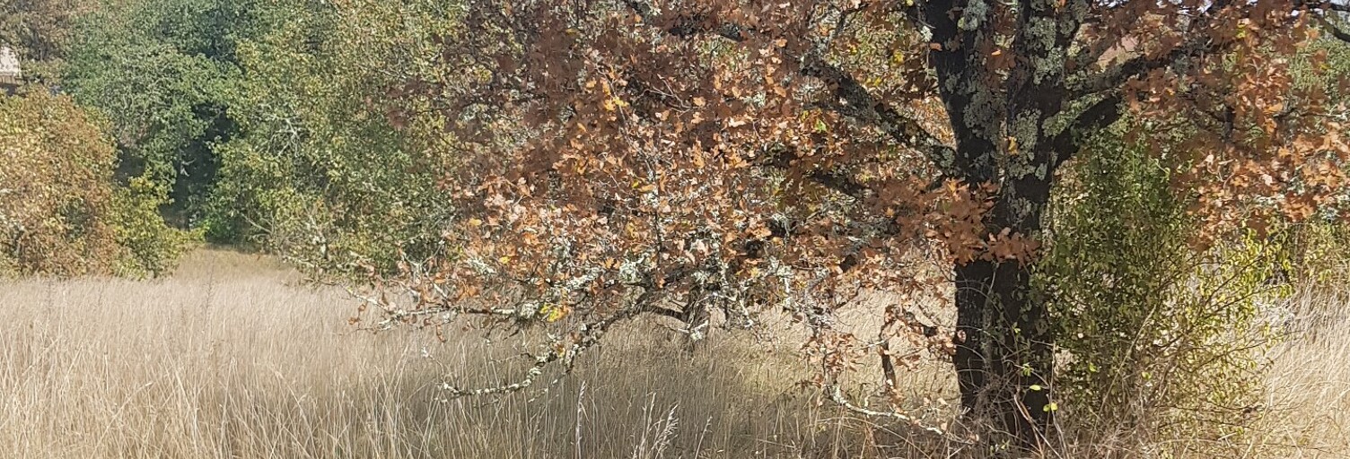 Terrain  2425 m² à vendre à Aujols (46090)