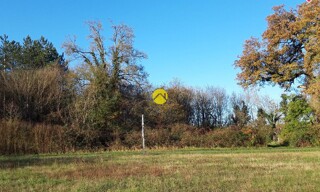 Photo N° 3