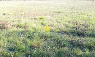 Photo N° 5