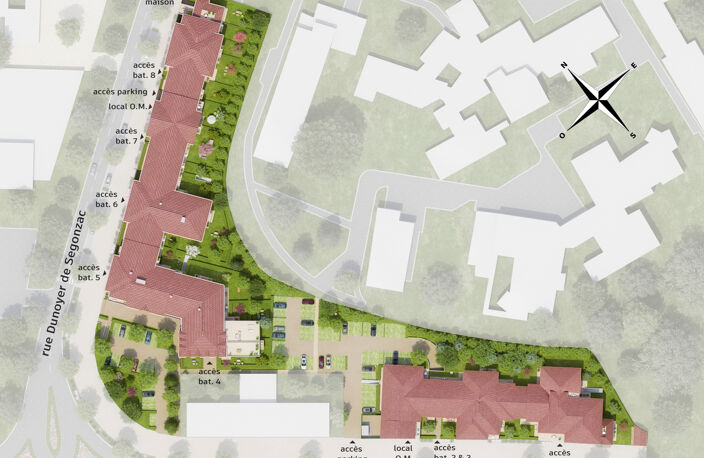 TILIA — photo 5