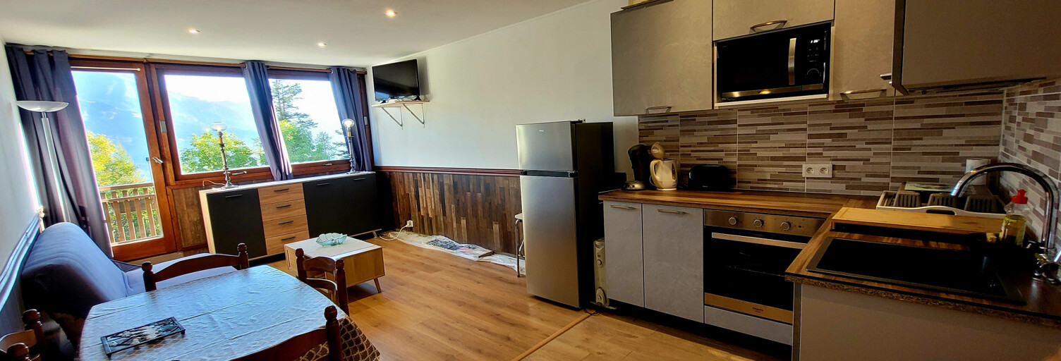 Appartement 1 Pièce 30 m² à vendre à Barcelonnette (04400)