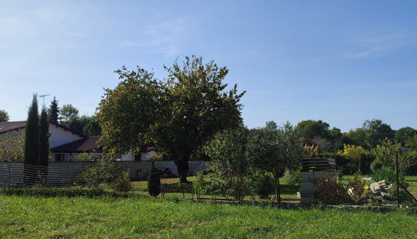 Terrain  à vendre Jonzac 17500