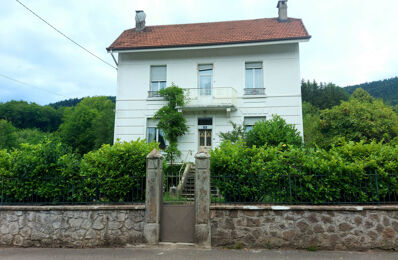 vente maison 249 900 € à proximité de Celles-sur-Plaine (88110)