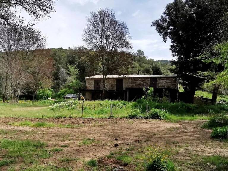 MAISON DE CAMPAGNE À RÉNOVER SUR UN HECTARE — photo 1