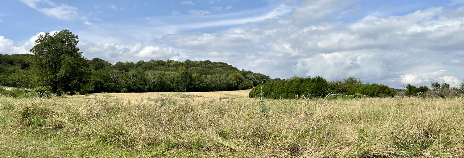 Terrain   m² à vendre à Chamouille (02860)