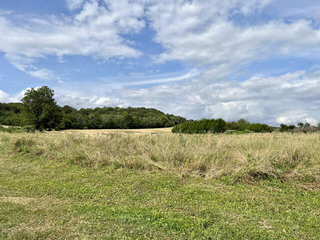 Terrain à bâtir non viabilisé — photo du bien
