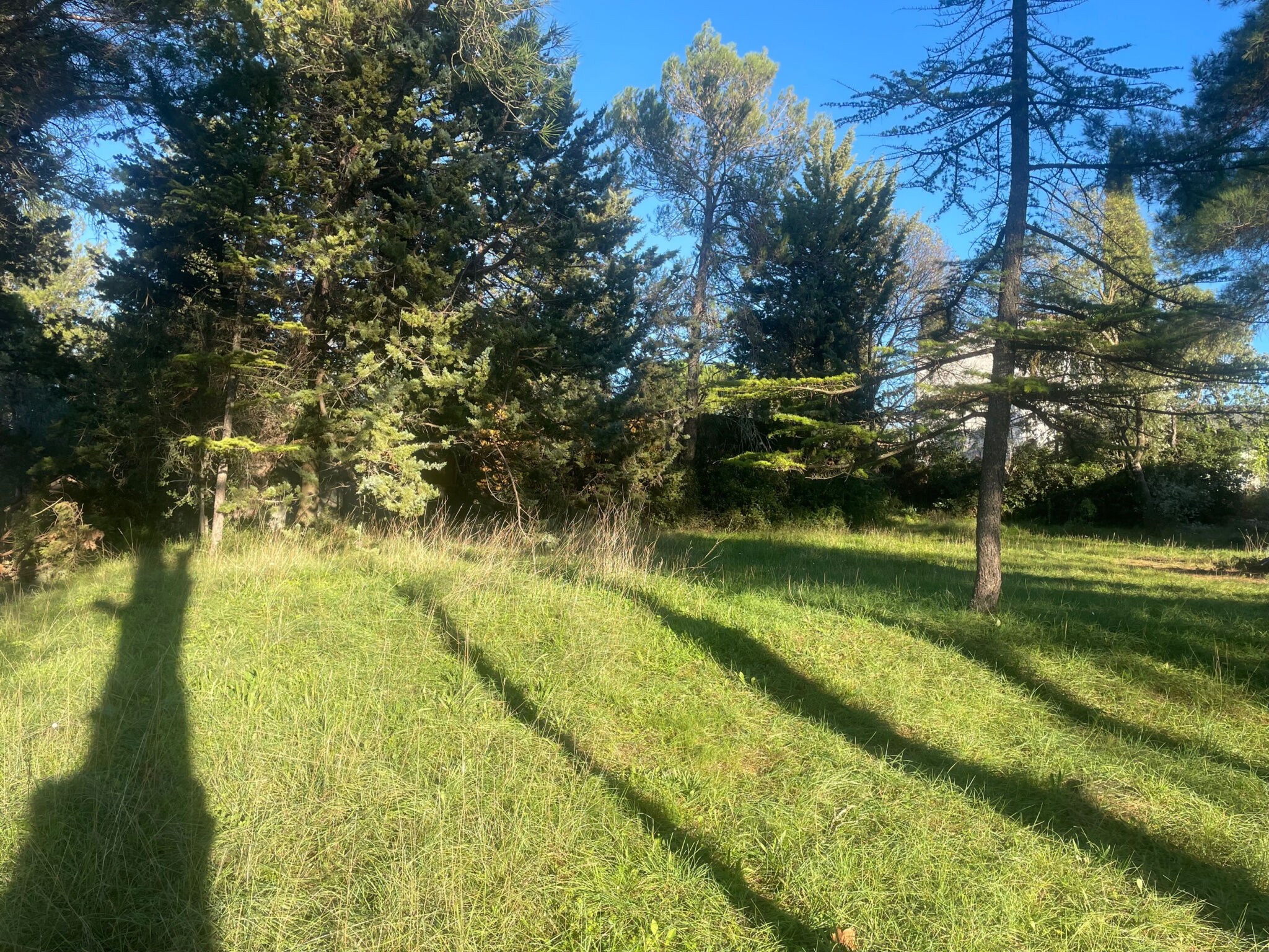 Terrain  à vendre Prades-le-Lez 34730