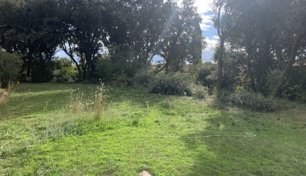 Terrain  à vendre Crès (Le) 34920