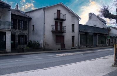 vente immeuble 51 500 € à proximité de Saint-Projet-de-Salers (15140)