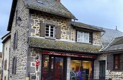 vente immeuble 150 000 € à proximité de Roannes-Saint-Mary (15220)