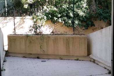 Appartement 1 pièces 530 €