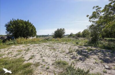 vente terrain 93 075 € à proximité de Saint-Branchs (37320)