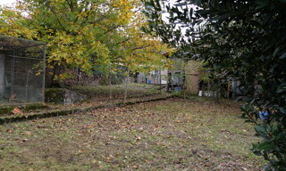 Photo N° 15