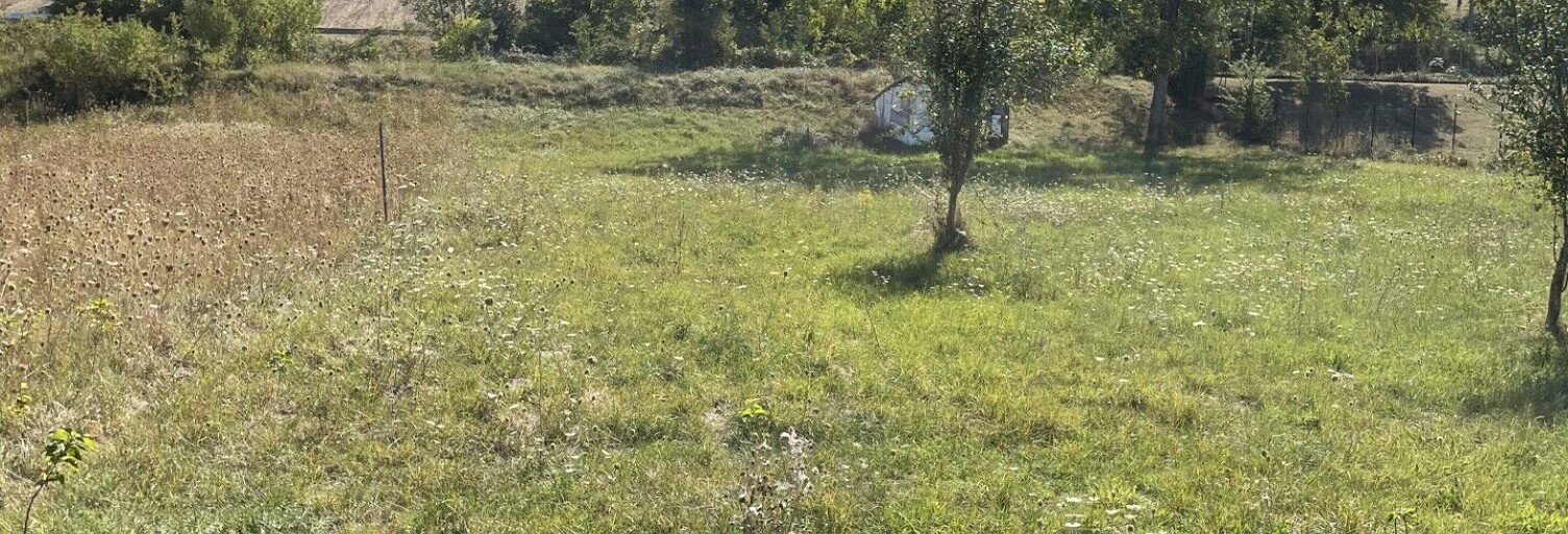 Terrain  1635 m² à vendre à Créchy (03150)