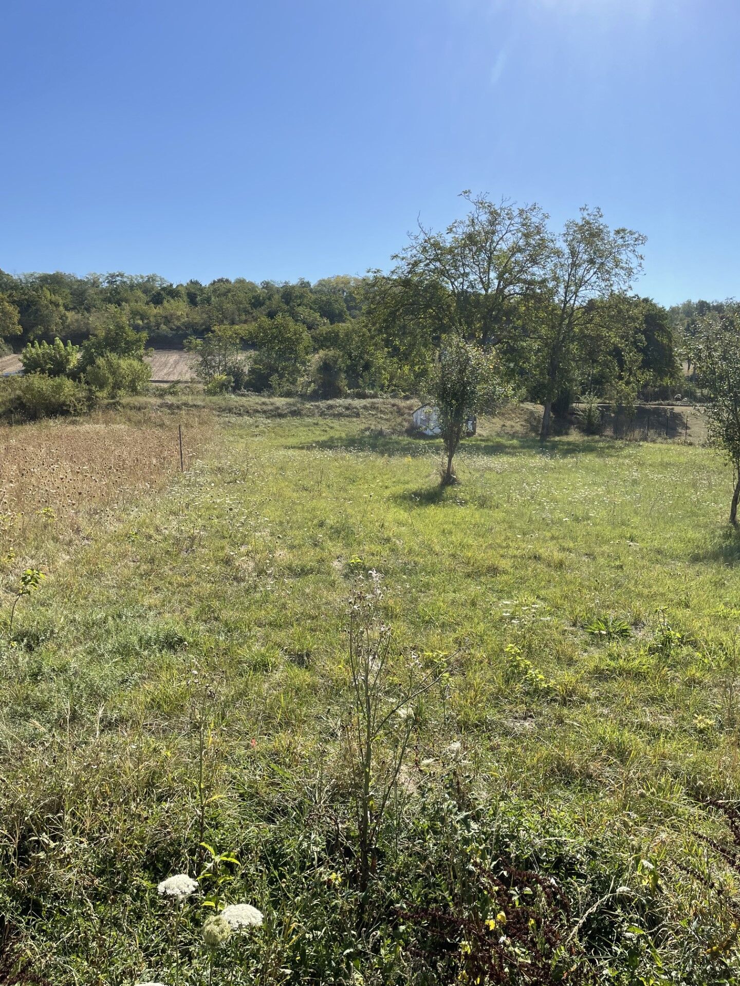 Agence immobilière de L'agence D l'esprit immobilier Digoin