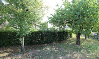 Photo N° 4