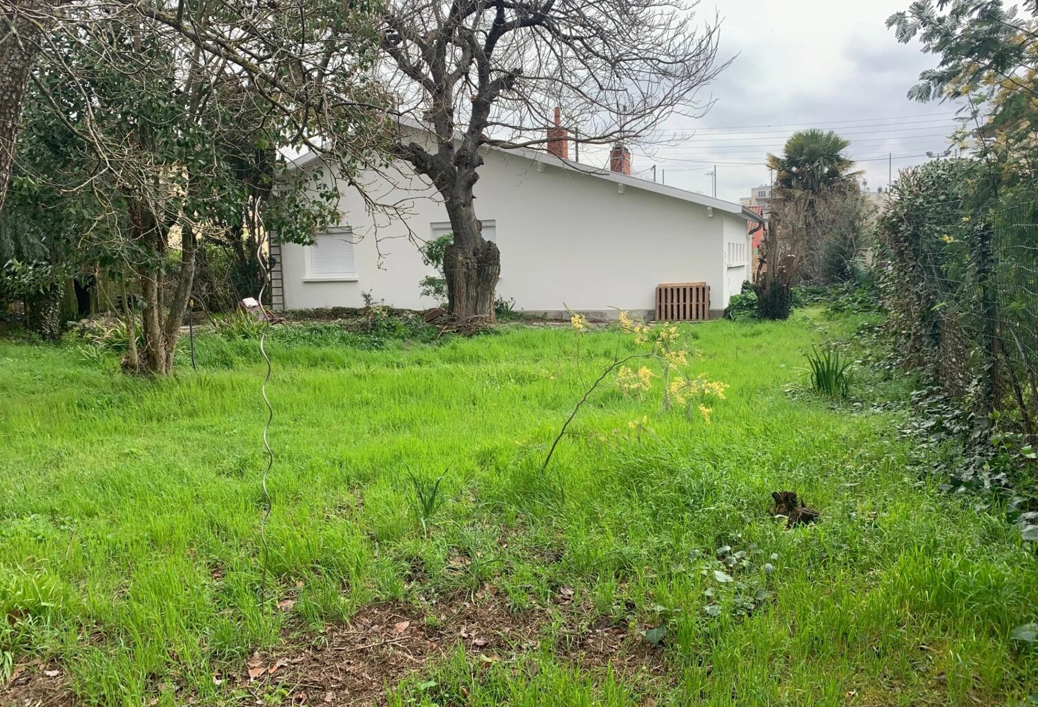Toulouse / Route de Seysses / Papus — photo 1