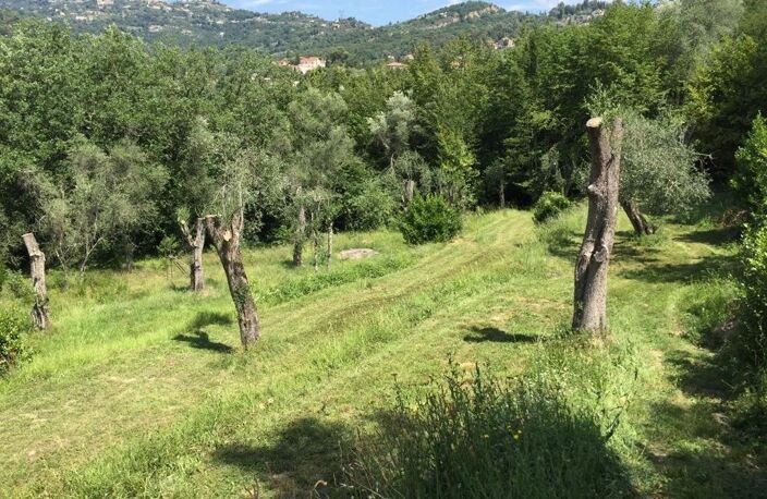 contemporain - rurale, campagne, piscine, terrain, oliviers — photo 3