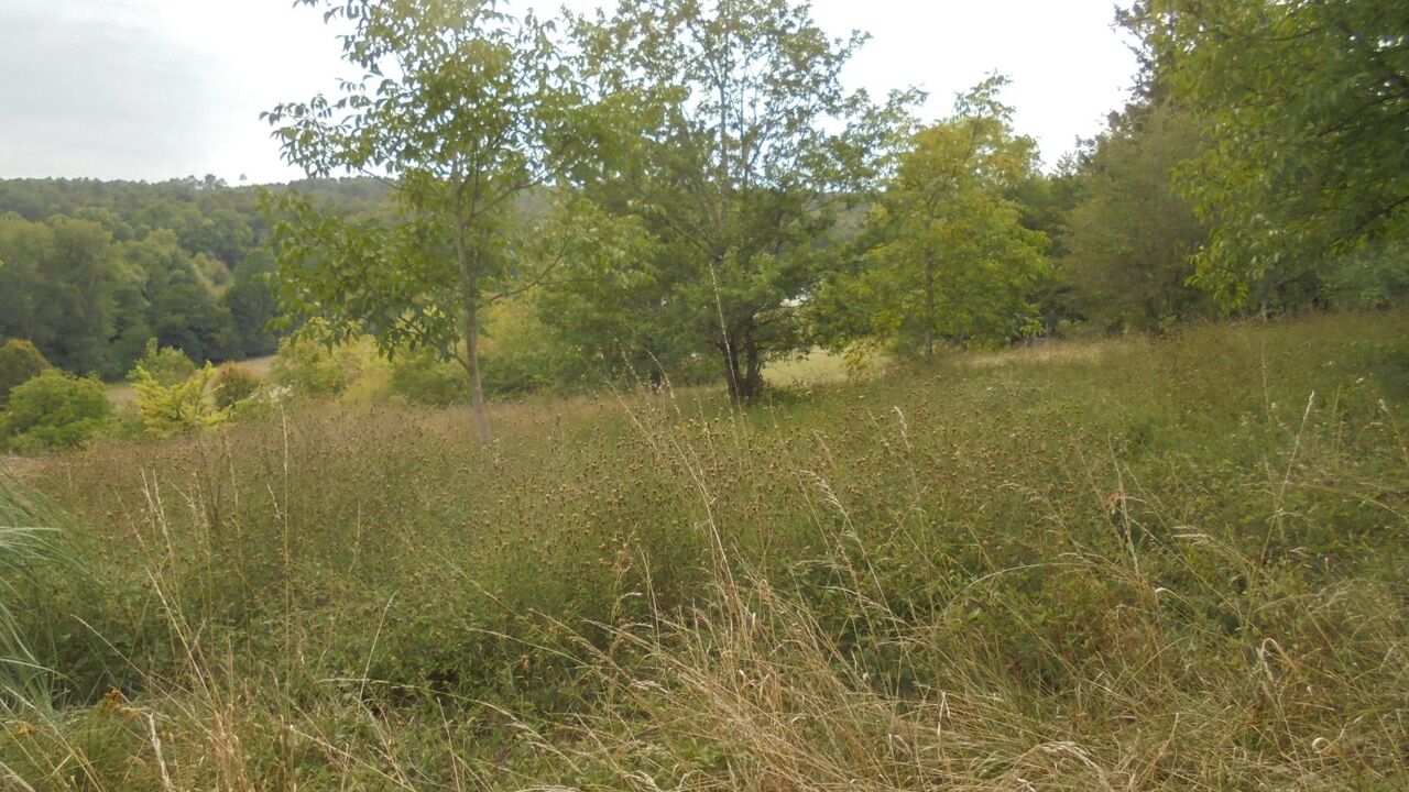 terrain  pièces  m2 à Saint-Germain-du-Salembre (24190)