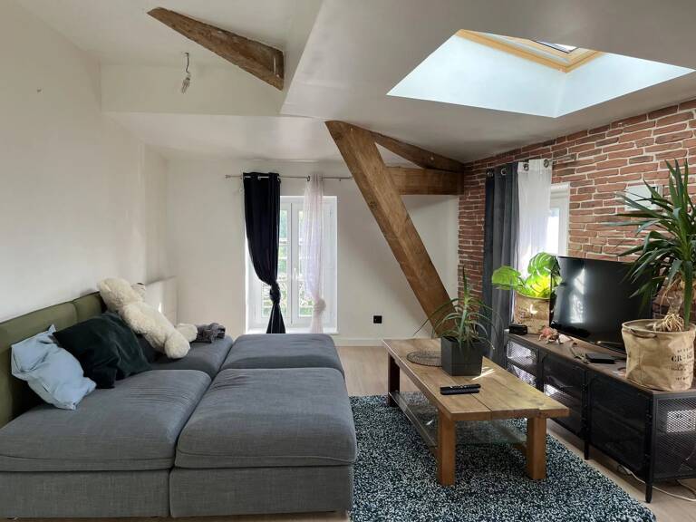 Joli T3 au coeur de Vienne — photo 1