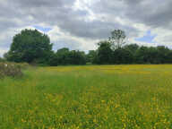 TERRAIN A BATIR PLAT DE 1000 M2 AVEC TOUT A L' EGOUT DANS UN — photo 2
