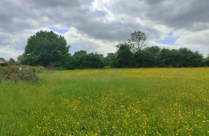 TERRAIN A BATIR PLAT DE 1000 M2 AVEC TOUT A L' EGOUT DANS UN — photo 2