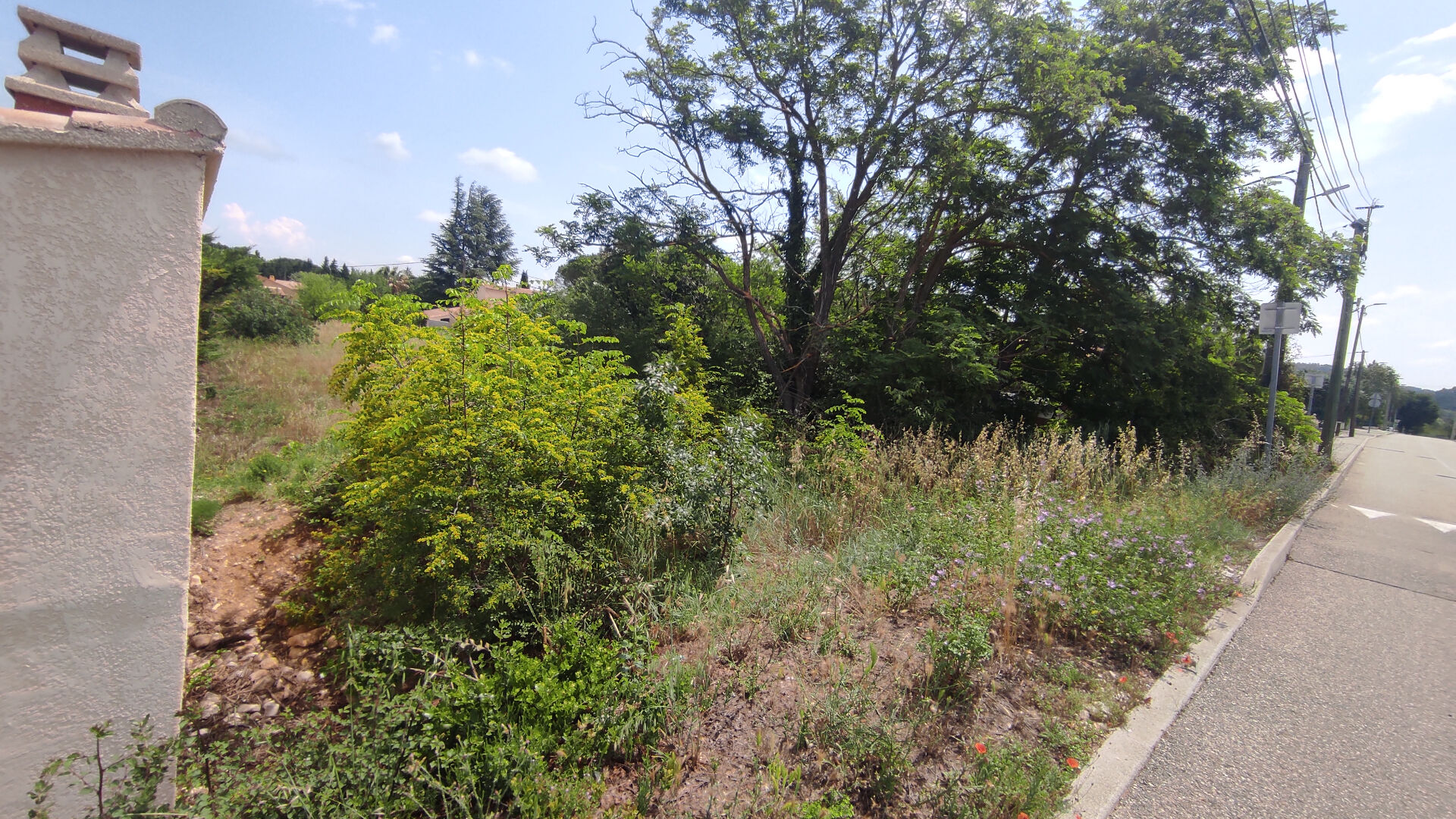 Agence immobilière de Square Habitat Orange et Cotes du Rhône