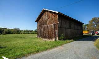 Photo N° 5