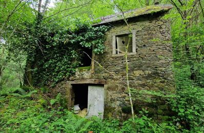 vente maison 69 930 € à proximité de Argentat-sur-Dordogne (19400)