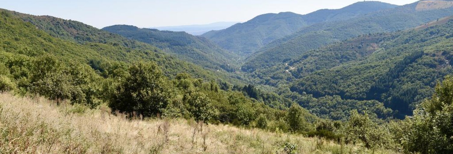 Terrain  832 m² à vendre à Labastide-sur-Bésorgues (07600)