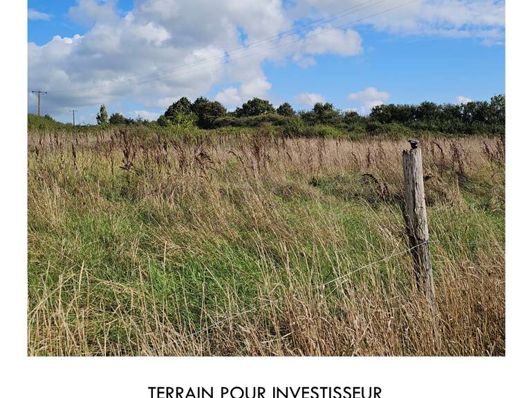 A vendre terrain La Plaine sur mer  — photo 1