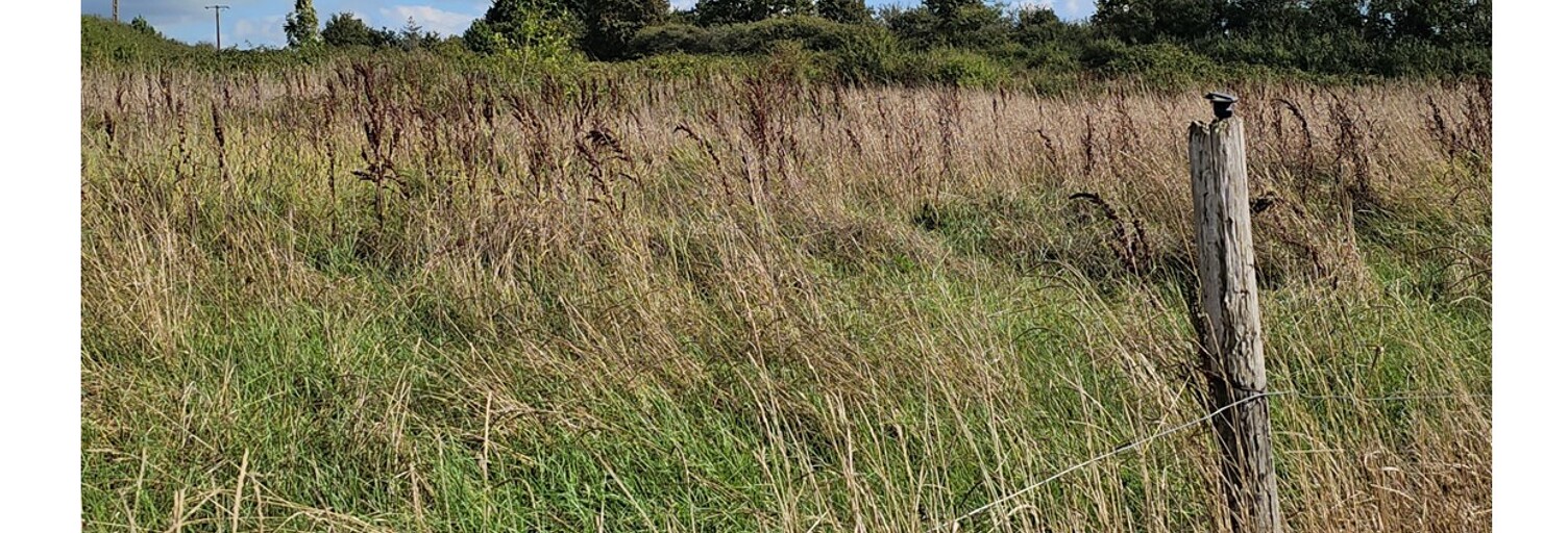 Terrain  500 m² à vendre à La Plaine-sur-Mer (44770)