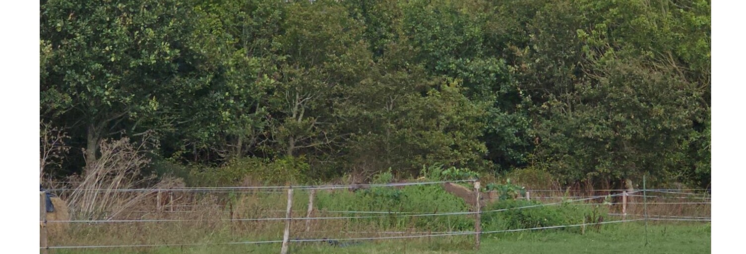 Terrain  500 m² à vendre à La Plaine-sur-Mer (44770)